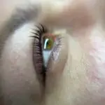 Nahaufnahme des Ergebnisses eines Korean Lash Liftings