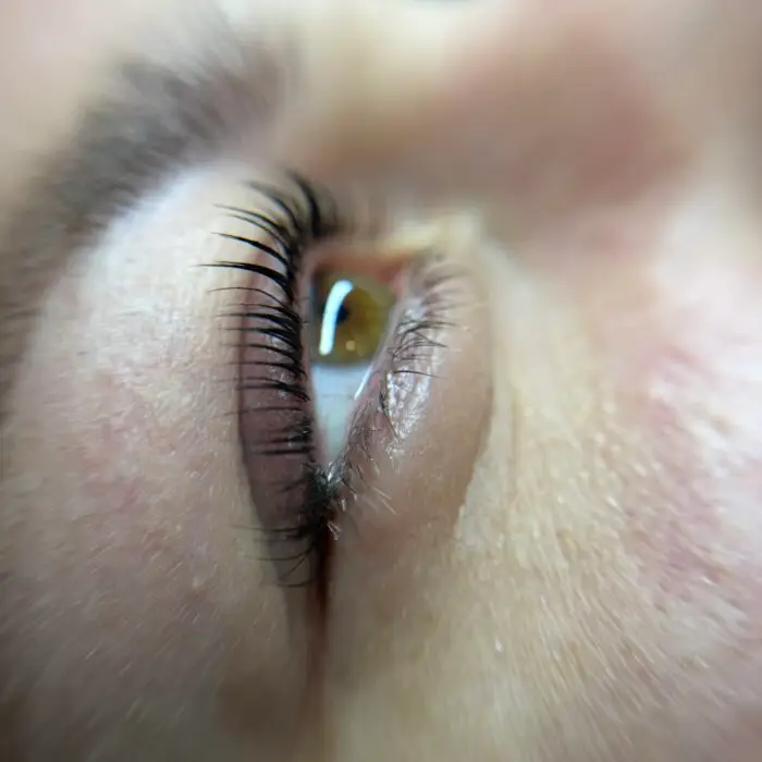 Nahaufnahme des Ergebnisses eines Korean Lash Liftings