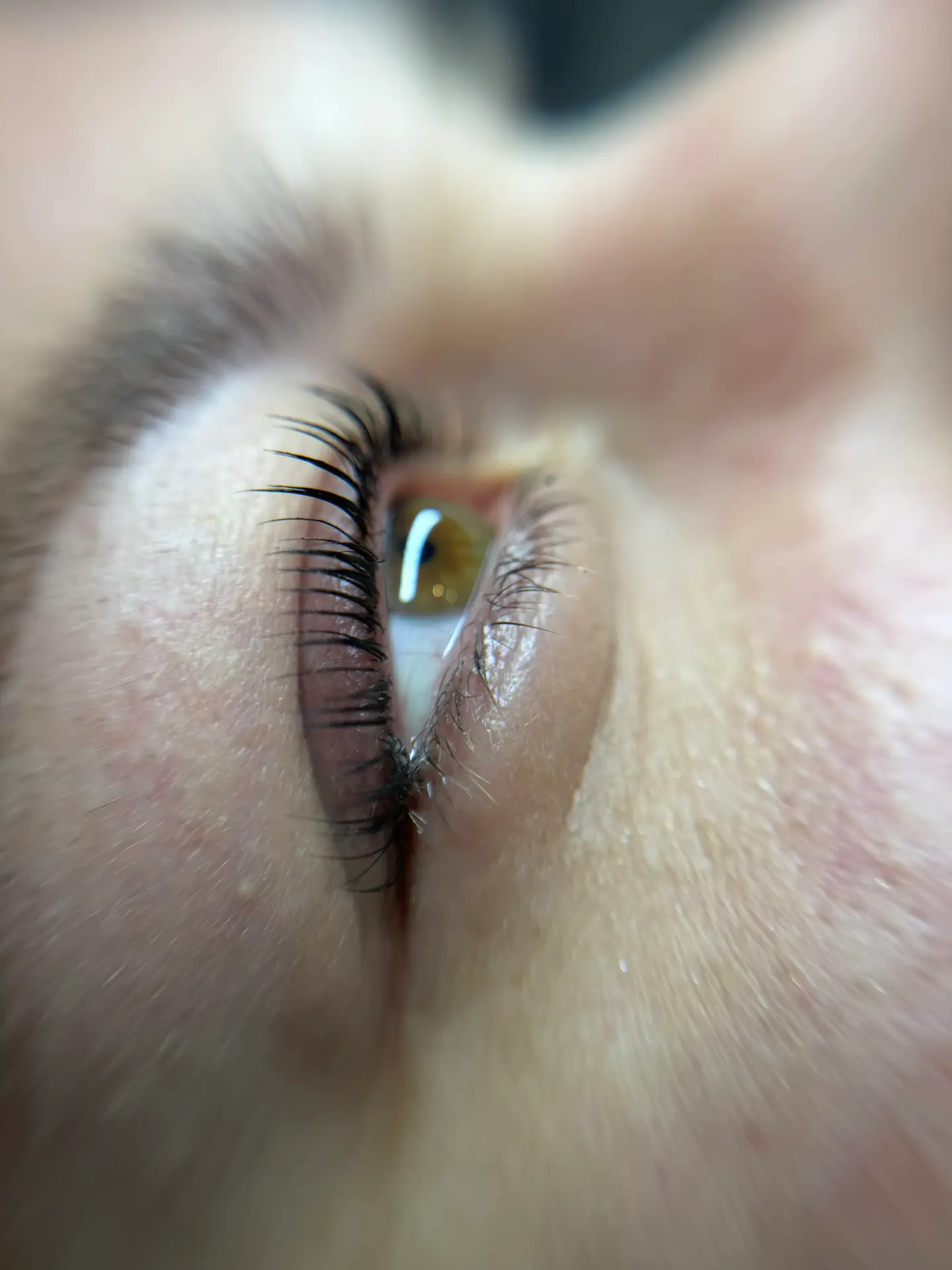 Nahaufnahme des Ergebnisses eines Korean Lash Liftings